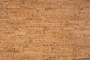 linea-int1_805x536_598