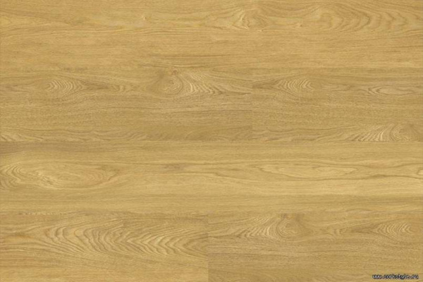 oak-deluxe1_805x536_598