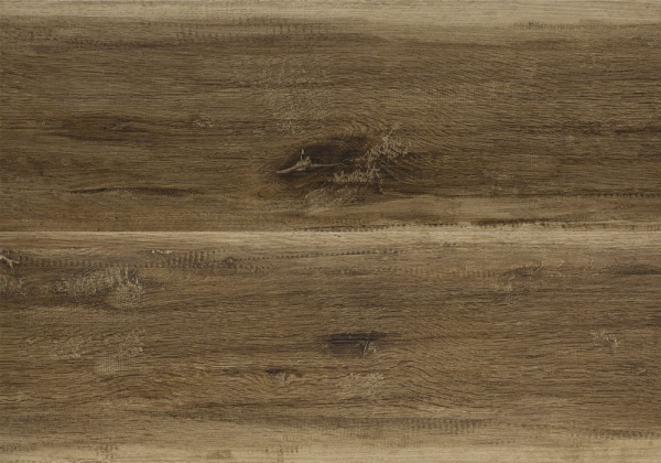 e6474173257a1191ceaece68a24b9328