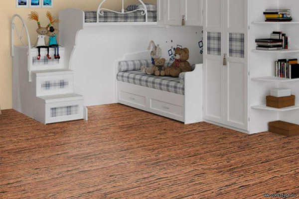 tigre-int1_805x536_598