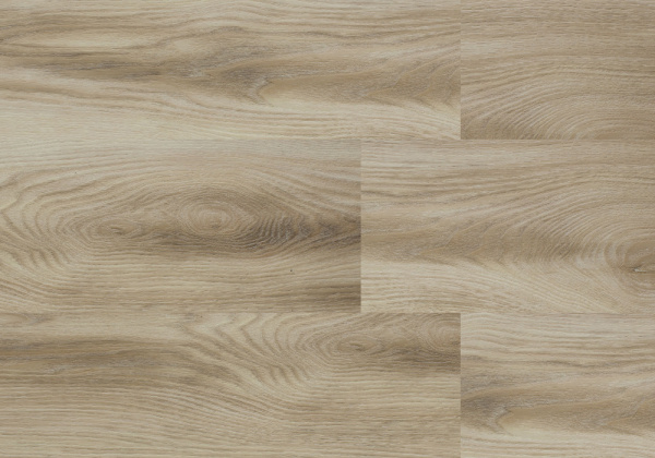 8c8ba6010153092f7034db02c3b5d5bd