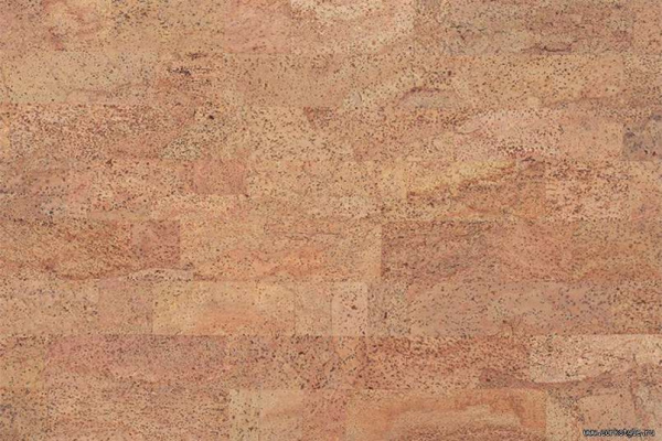 fantasie1_805x536_598