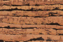 tigre-int1_805x536_598