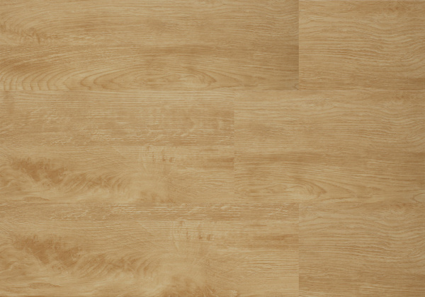 e57e1387df6dac02015095cc5eecfba1