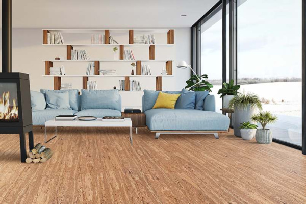 comprido-int3_805x536_598