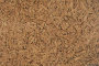 fiamma-int1_805x536_598