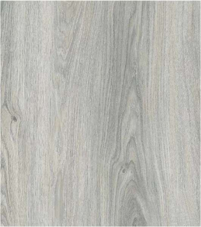 g0cgvs5d75r8sg297toa7dv72g1ol1md 1