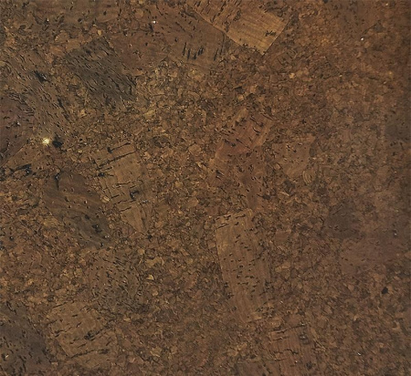 Amadora_marron_IF_3_-_tekstura 1