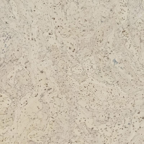 Toledo_Krem_IF_3_-_tekstura 1