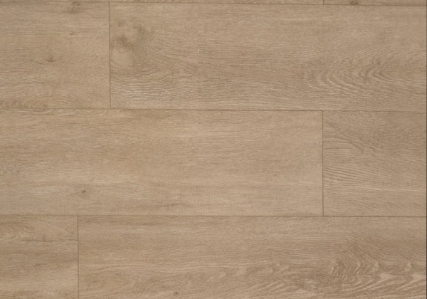 884f742692524e07c1a3d5a132e794c4