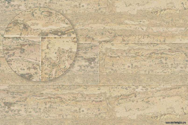 comprido-vanilla1_805x536_598