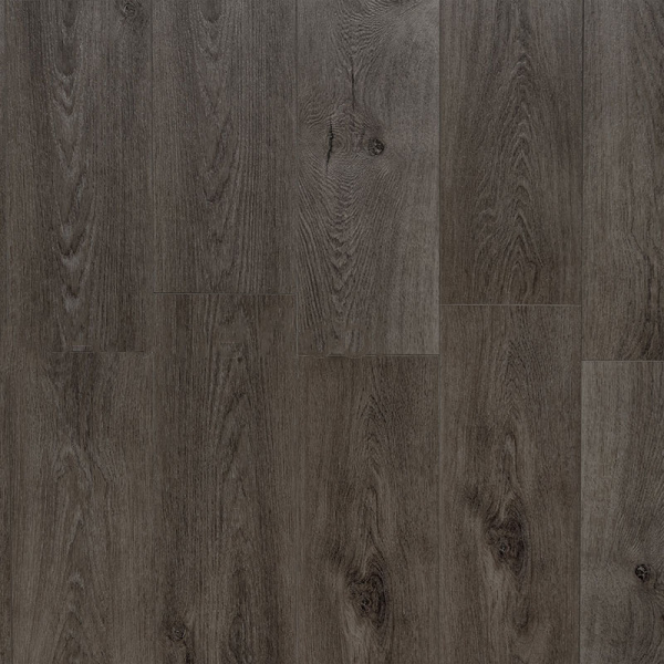 ee8e90e2074cb69a3e8ffa2c1a78aee4