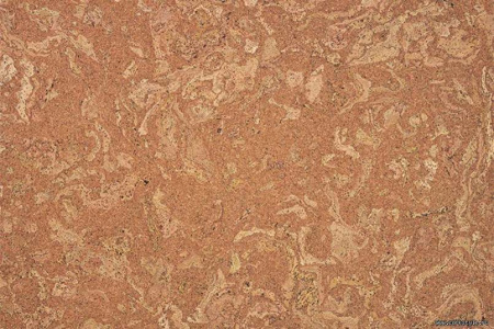 madeira1_805x536_598