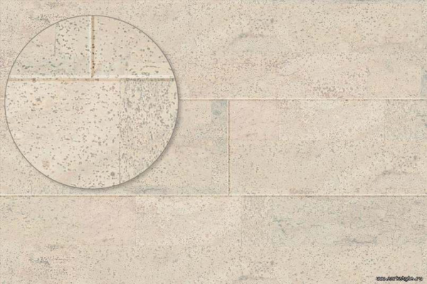 fantasie-milk1_805x536_598