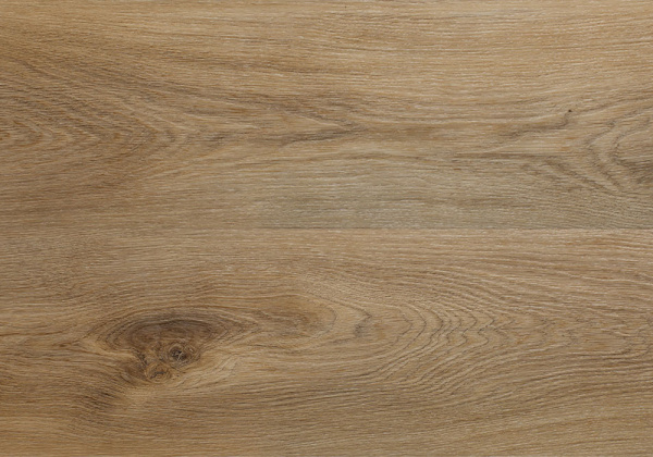 01629071f4d2c3099a0838a0195d8b61