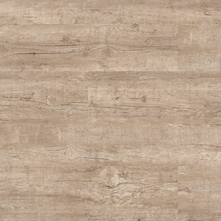 DW 4005 LNN X-1.1599650116.jpg.1920x1080r