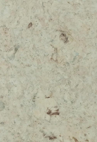 big_Leon_Blanko_4VG_3_-_tekstura 1