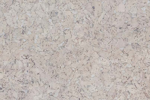 monte-silver-2_805x536_598