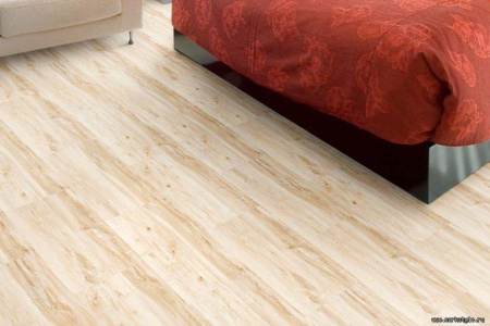 maple-int1_805x536_598