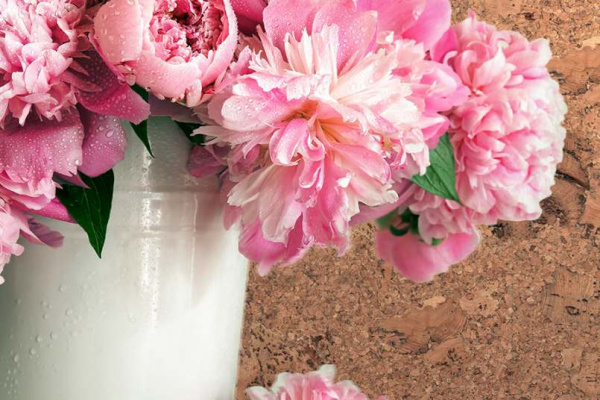 vico-nat1_805x536_598