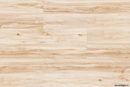 maple1_805x536_598