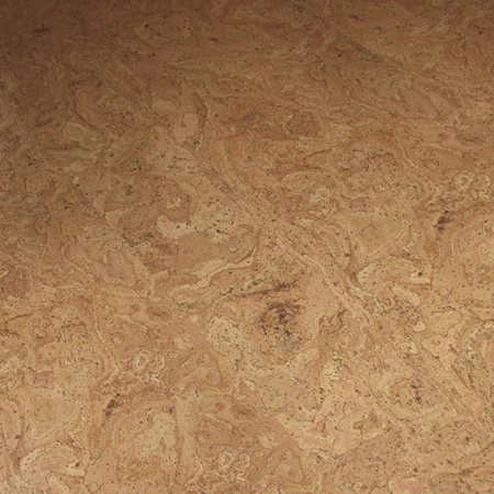 CC3-310v-NN-perspectiva-1