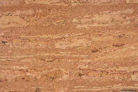 comprido1_805x536_598[1]