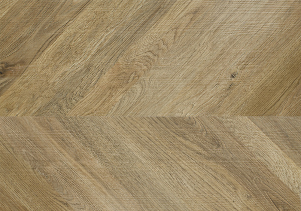 099a5329b17cba43ce7345b069743089