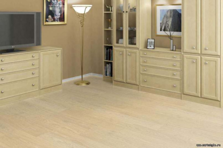 oak-creme-int_805x536_598