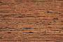 tigre-int1_805x536_598