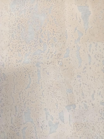 -1x-1xMQ_IMG_20250205_103706