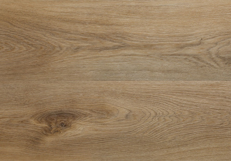 01629071f4d2c3099a0838a0195d8b61