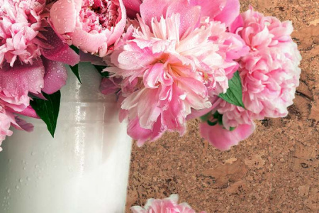 vico-nat1_805x536_598