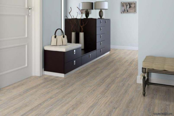 cork-oak-leached-int_805x536_598