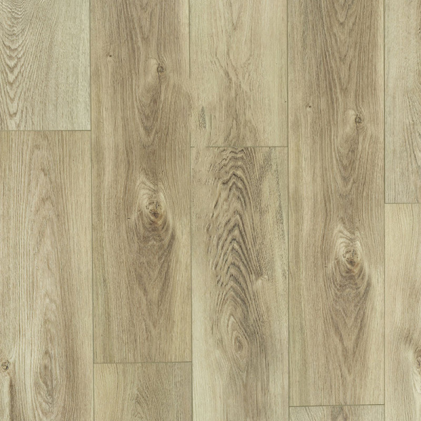 6d89d868fbe966eb0f2e8ba964a86604