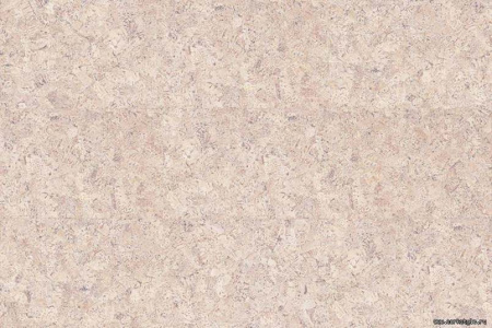 p999creme1_805x536_598