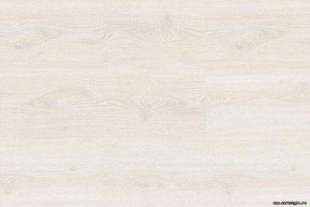 oak-polar-white1-1_805x536_598