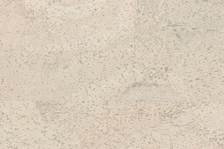 fantasie-milk_805x536_598[1]