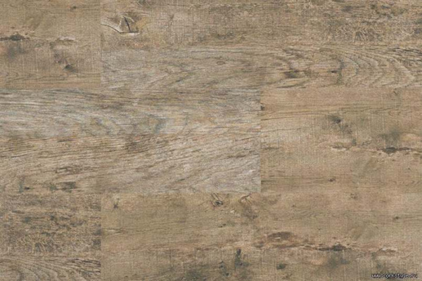 oak-antique1_805x536_598