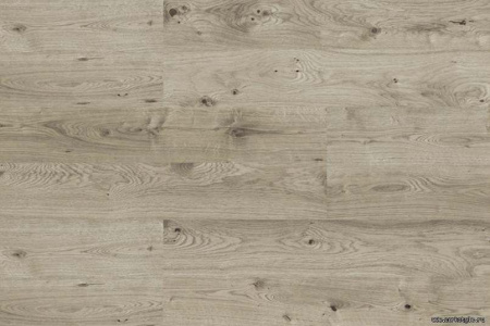 oak-grey1-1_805x536_598