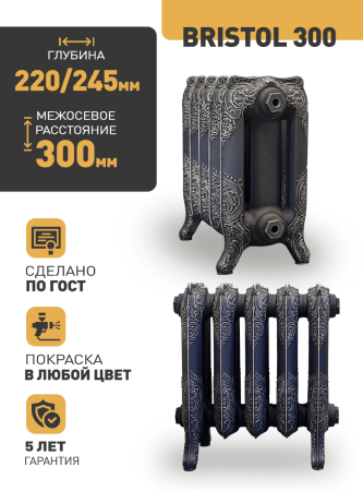 BRISTOL-300