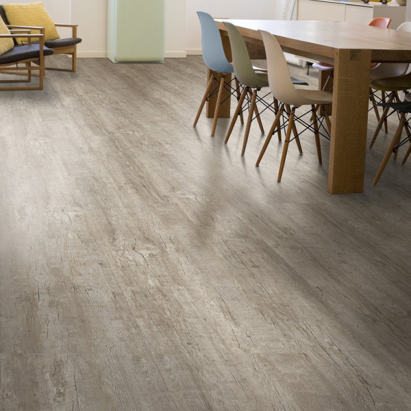 DW 4005 LNN X-2.1599650121.jpg.1920x1080r