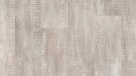 THH_FUNKY_HOUSE_Blaze