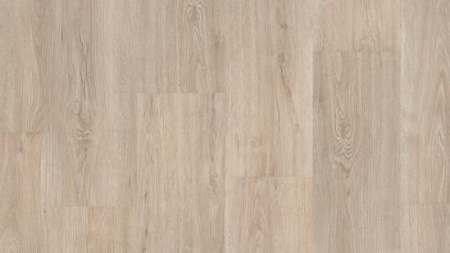 THH_FUNKY_HOUSE_Gusto