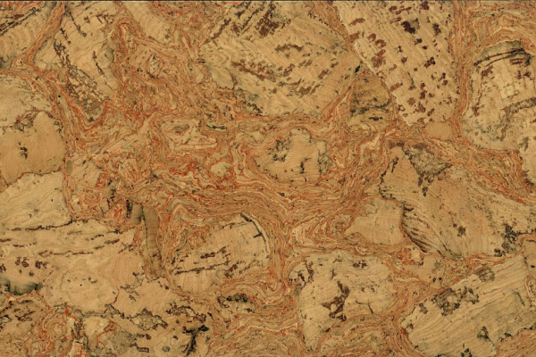 qkkw1yit8alxx8pzn1x62jbu0gs2uw8k 1