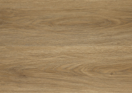 c4dae5faeebe5a0486cf23cc3f47025e