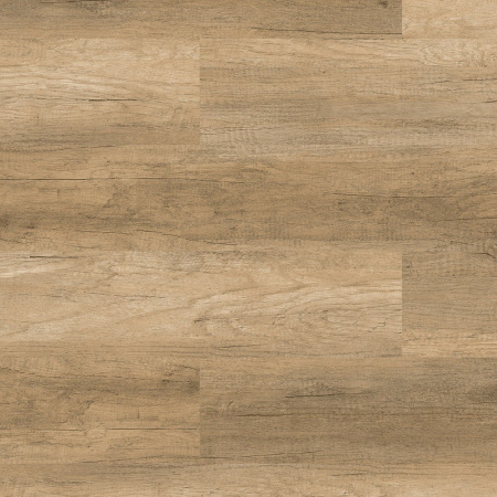 c598b18bc8ab538ed16cf39d3ec57b8a