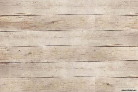 planke1-1_805x536_598