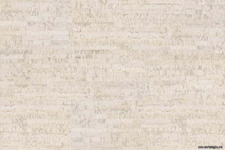 lineawhite1_805x536_598