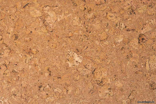 rombonew1_805x536_598